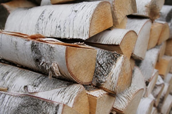 bouleau bois de chauffage