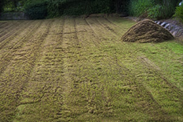 scarifier pelouse